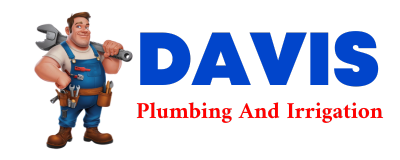 Trusted plumber in MEERS